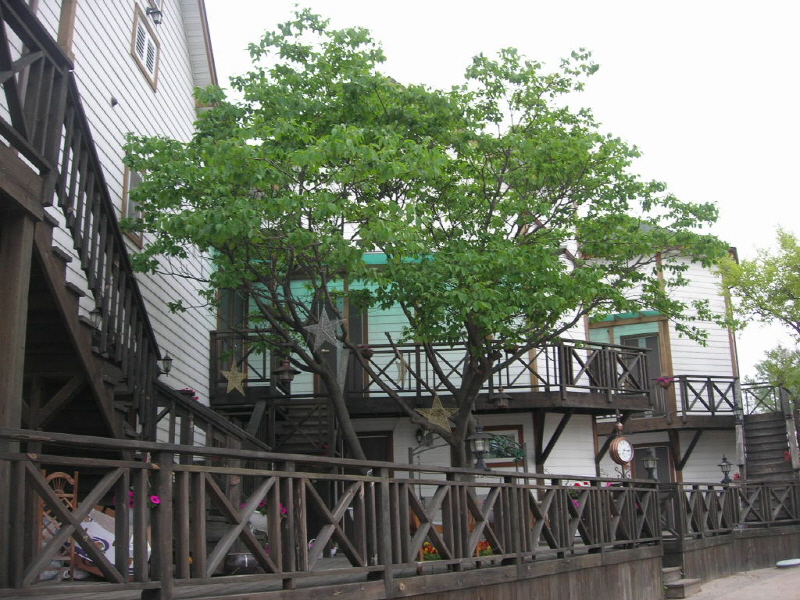 밀키웨이 사진2