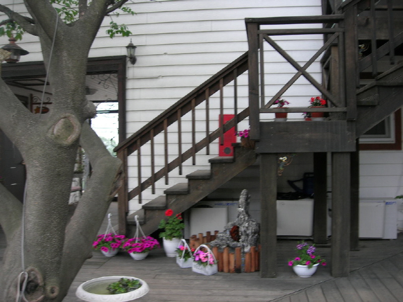 밀키웨이 사진4