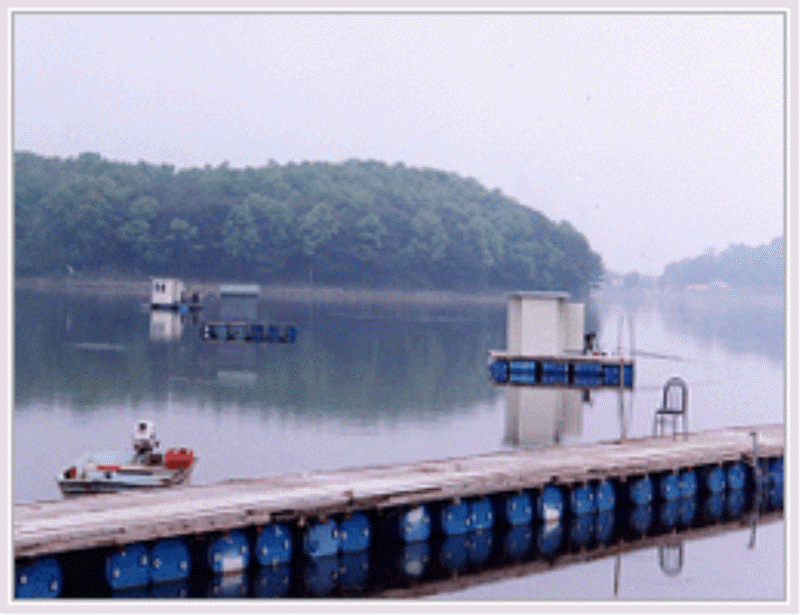 내가낚시터 사진2