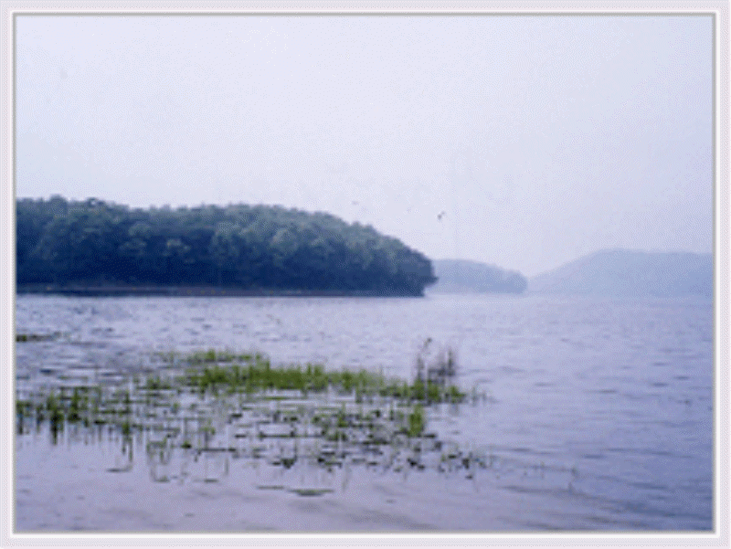 내가낚시터 사진