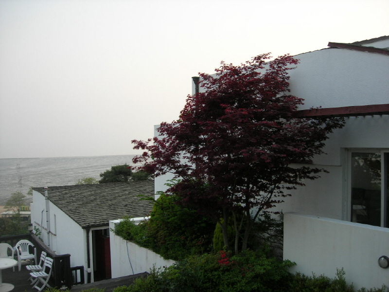 나무와 숲 사진2