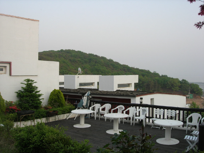 나무와 숲 사진3