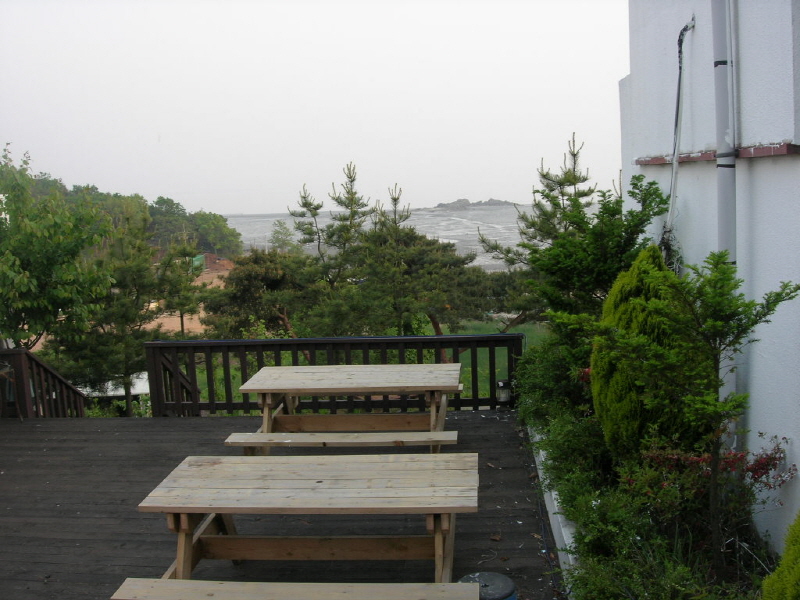 나무와 숲 사진4