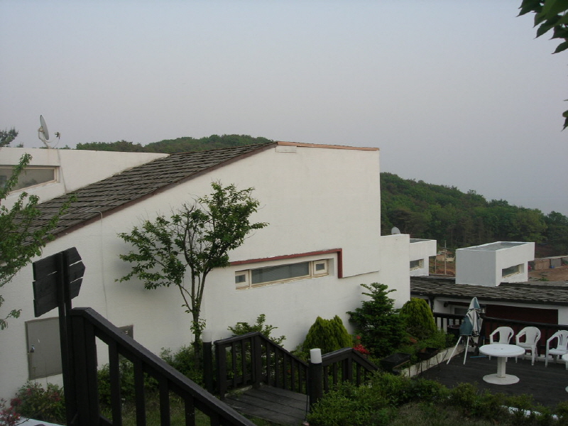 나무와 숲 사진5