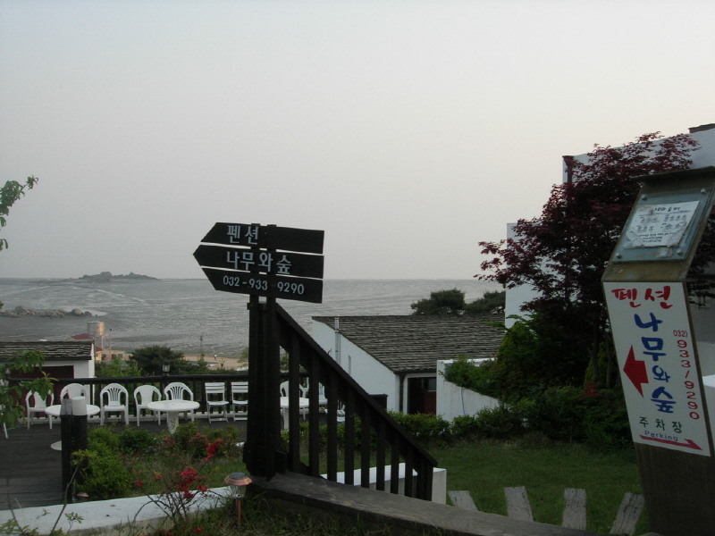 나무와 숲 사진