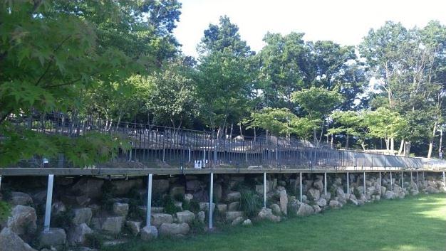 낭만에코파크 사진3