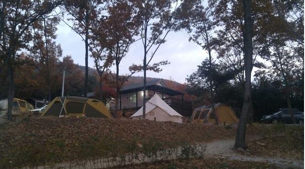 낭만에코파크 사진4