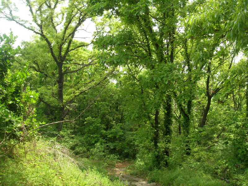 나눔 펜션 사진4