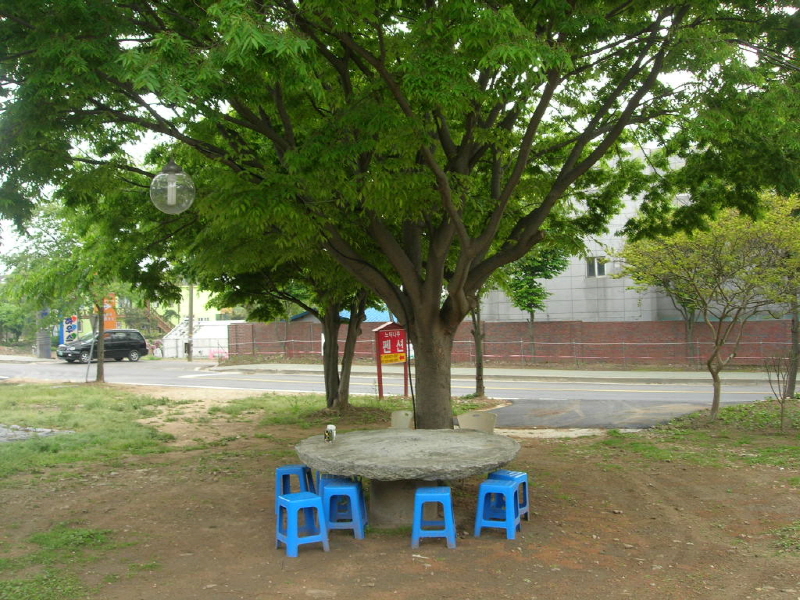 느티나무펜션 사진6