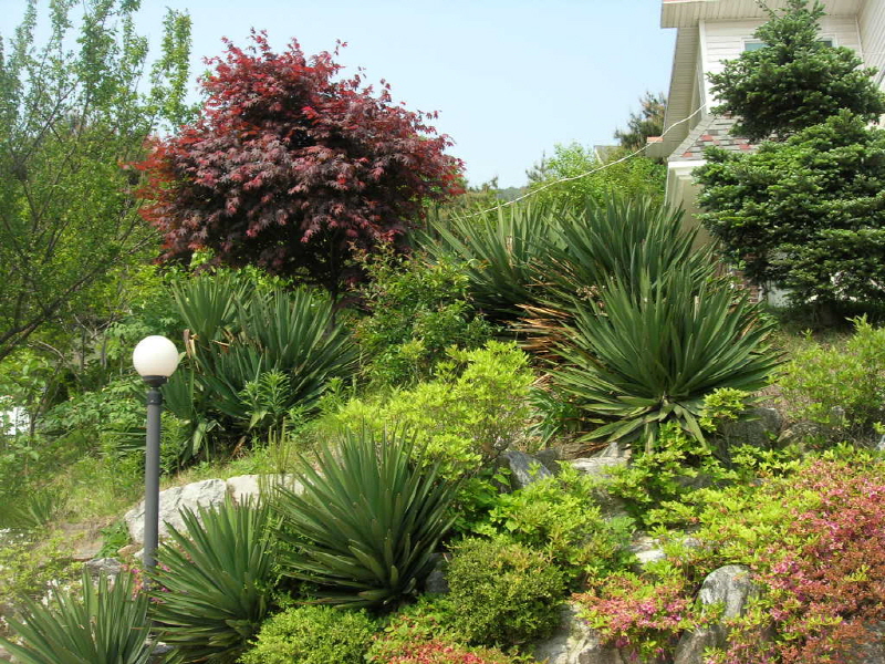 노을 민박 사진3