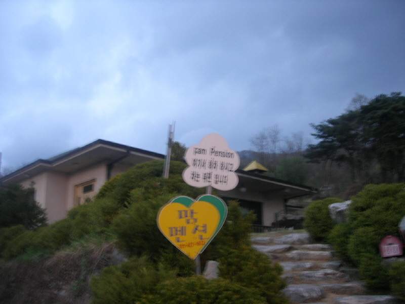 팜펜션 사진