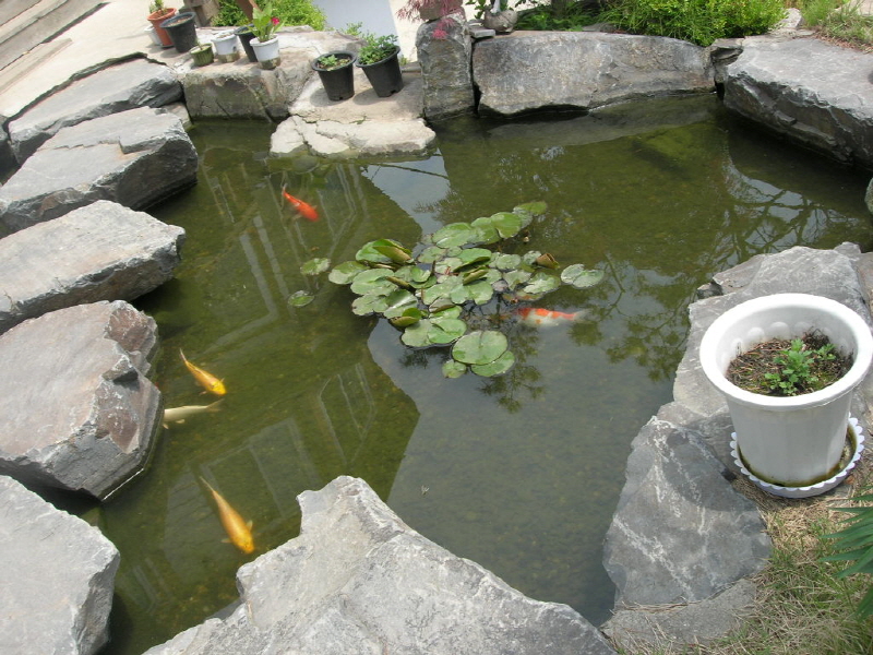 펜션 바닷가 뜨락 사진4