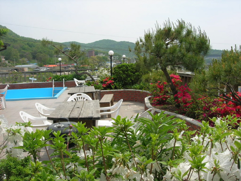 펜션 바닷가 뜨락 사진5