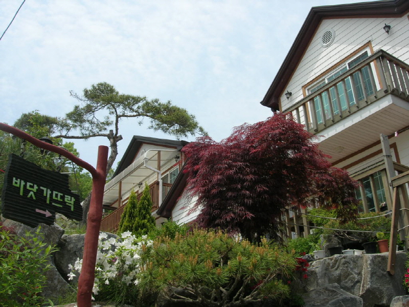 펜션 바닷가 뜨락 사진