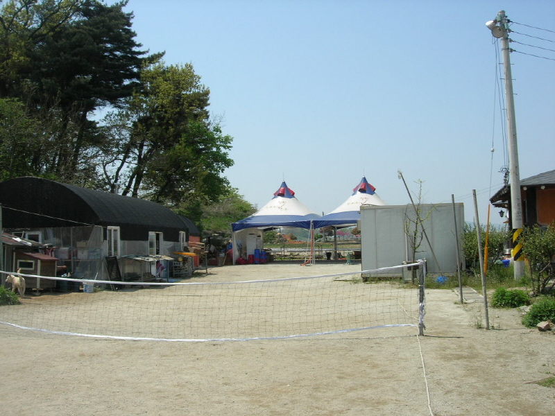 편가네 된장 사진2