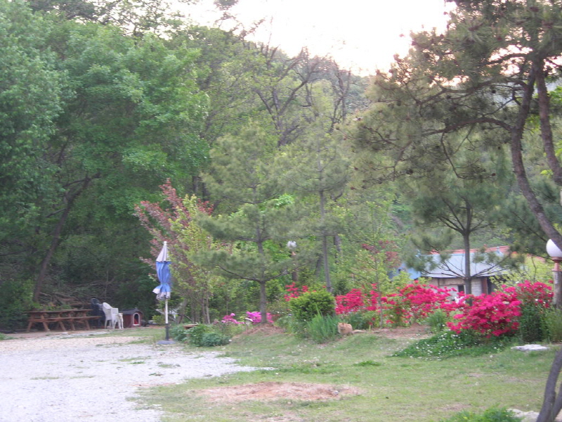 사각하늘 사진2