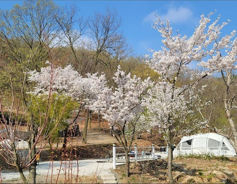 사르데냐 오토캠핑장 사진