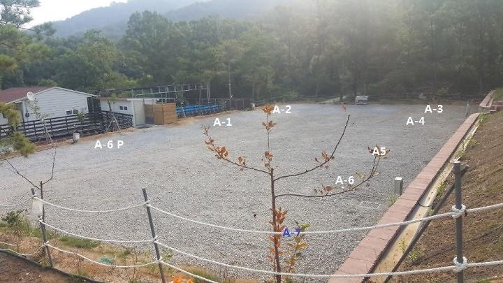 석모도 부자캠핑 사진