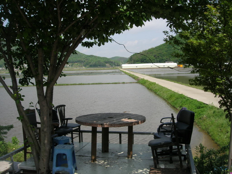 선두지 민박 사진4