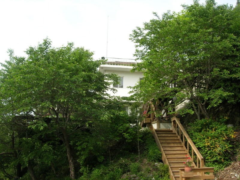 신선놀이 펜션 사진2