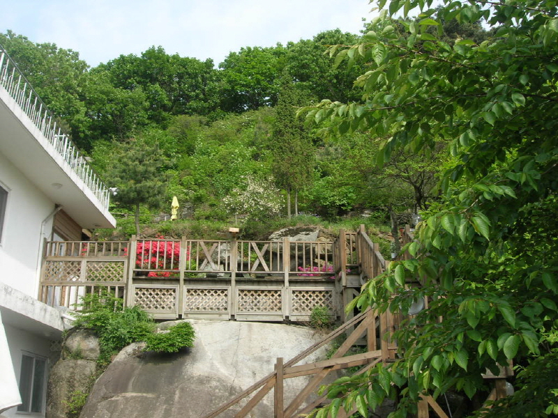 신선놀이 펜션 사진4