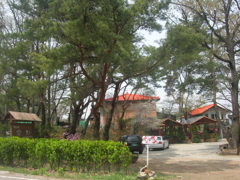 송화 펜션 사진