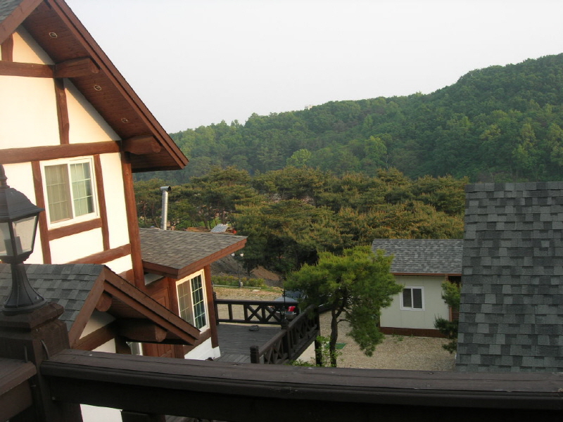 숲속바다풍경 사진8