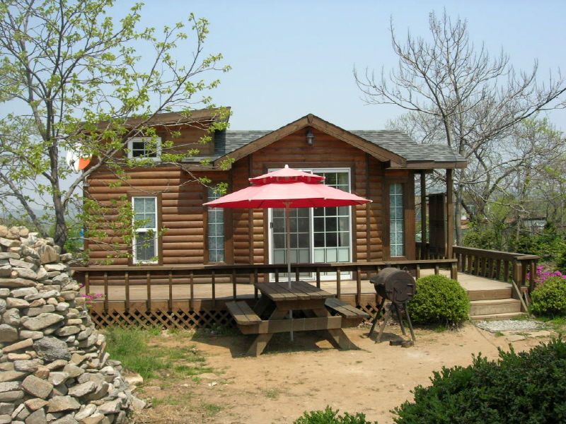 숲속의 아침 사진3