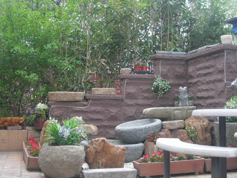 숲속의 집 사진4