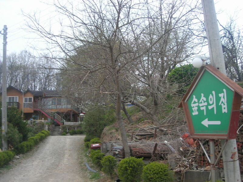 숲속의 집 사진