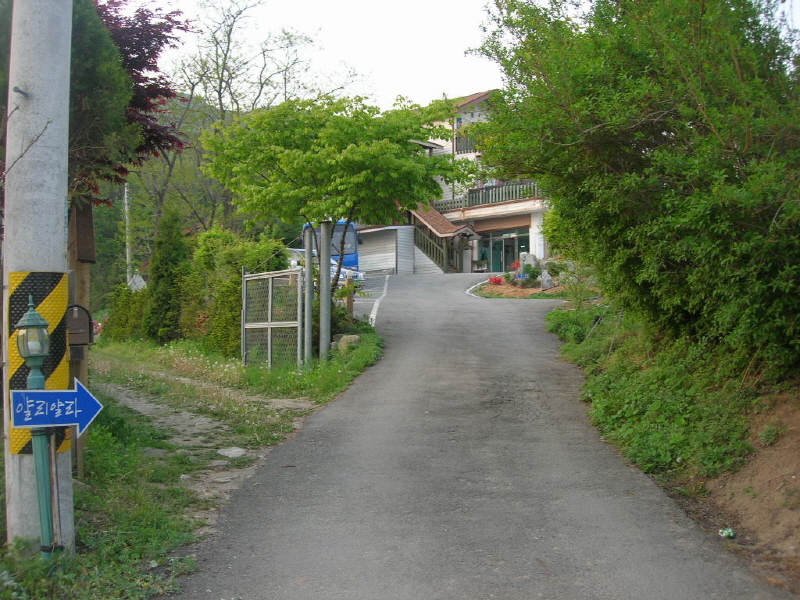 아셀 키즈 사진2