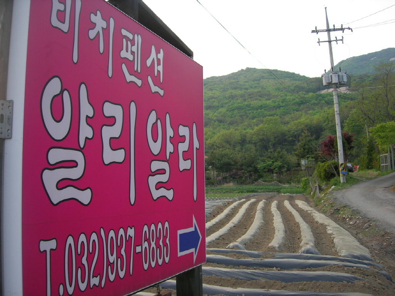 아셀 키즈 사진