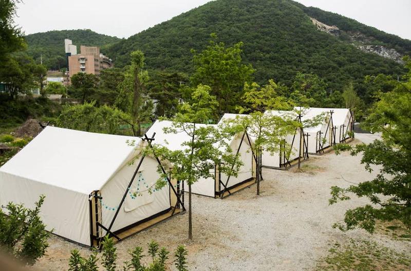 프랭클리 글램핑 캠핑장 대표 이미지