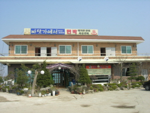 바닷가에서 사진