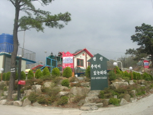 추억이 있는 바다 사진