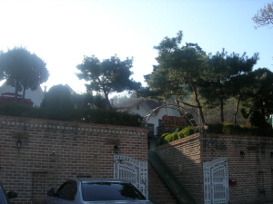 깔끄막 희컨집 사진