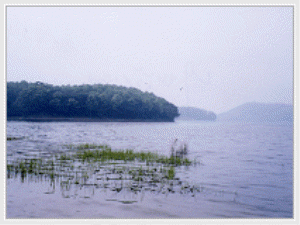 내가낚시터 사진