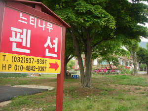 느티나무펜션 사진