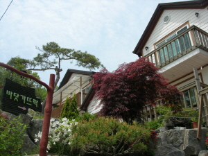 펜션 바닷가 뜨락 사진