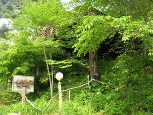 신선놀이 펜션 사진