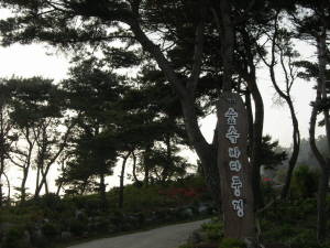 숲속바다풍경 사진