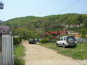 숲속의 아침 사진