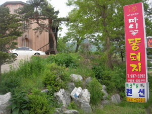 마니꼴똥돼지 펜션 사진