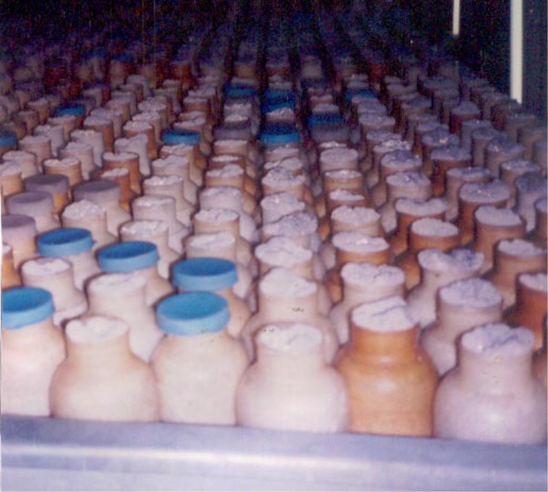 강화두레버섯농장 사진