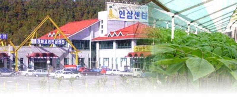 강화고려인삼센터 사진