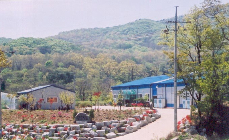 강화섬김치 사진