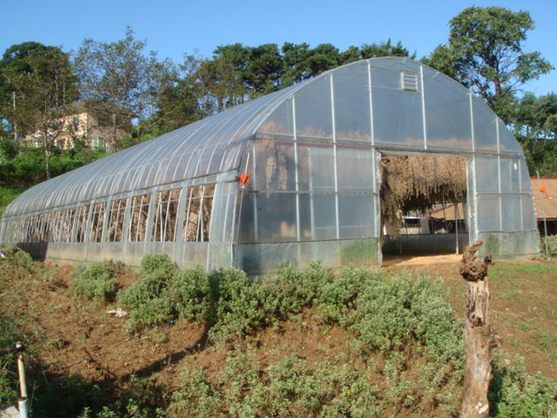 강화약쑥센터 사진2