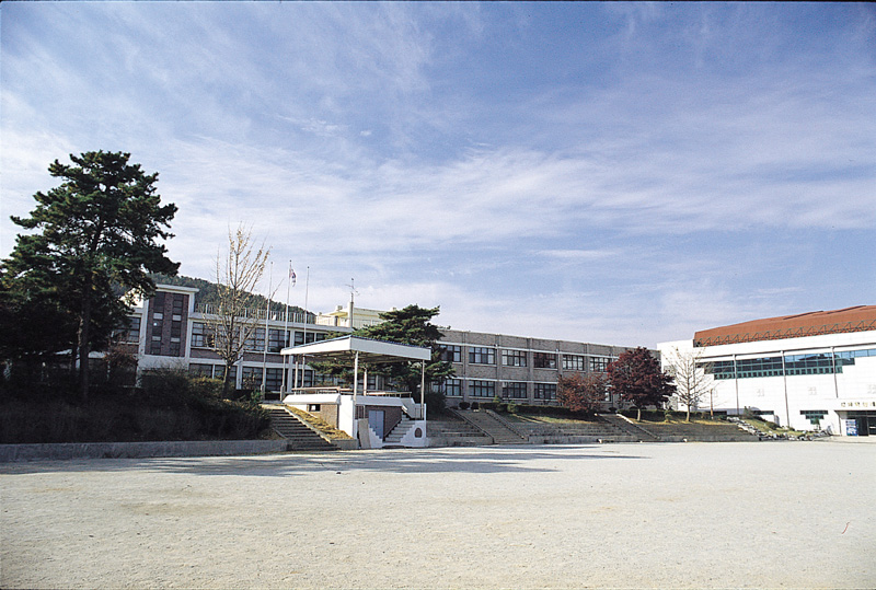 강남중학교 사진2