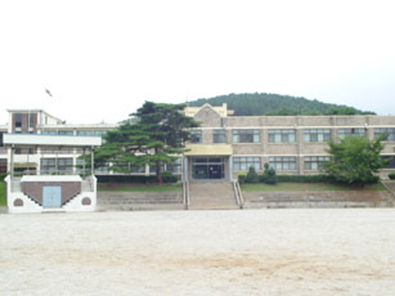 강남중학교 사진