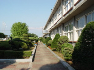 화도초등학교 사진